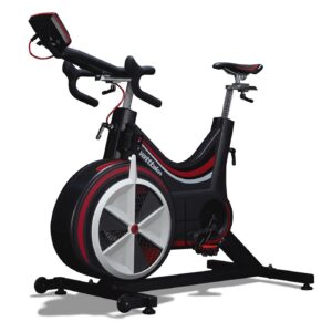 Concept 2 SkiErg (Black)